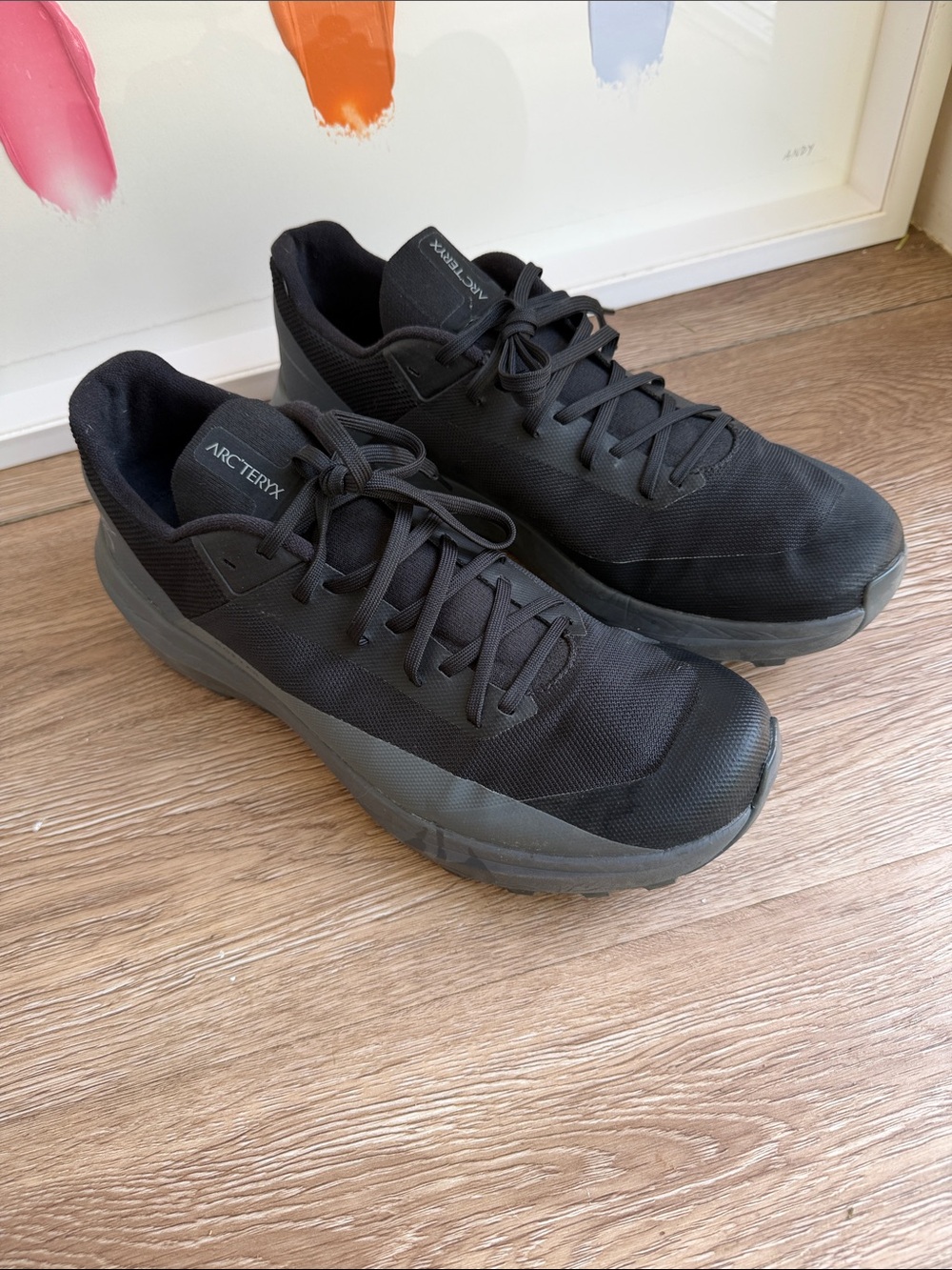 Arc'teryx Men's Black Low-Profile Trail Sneakers